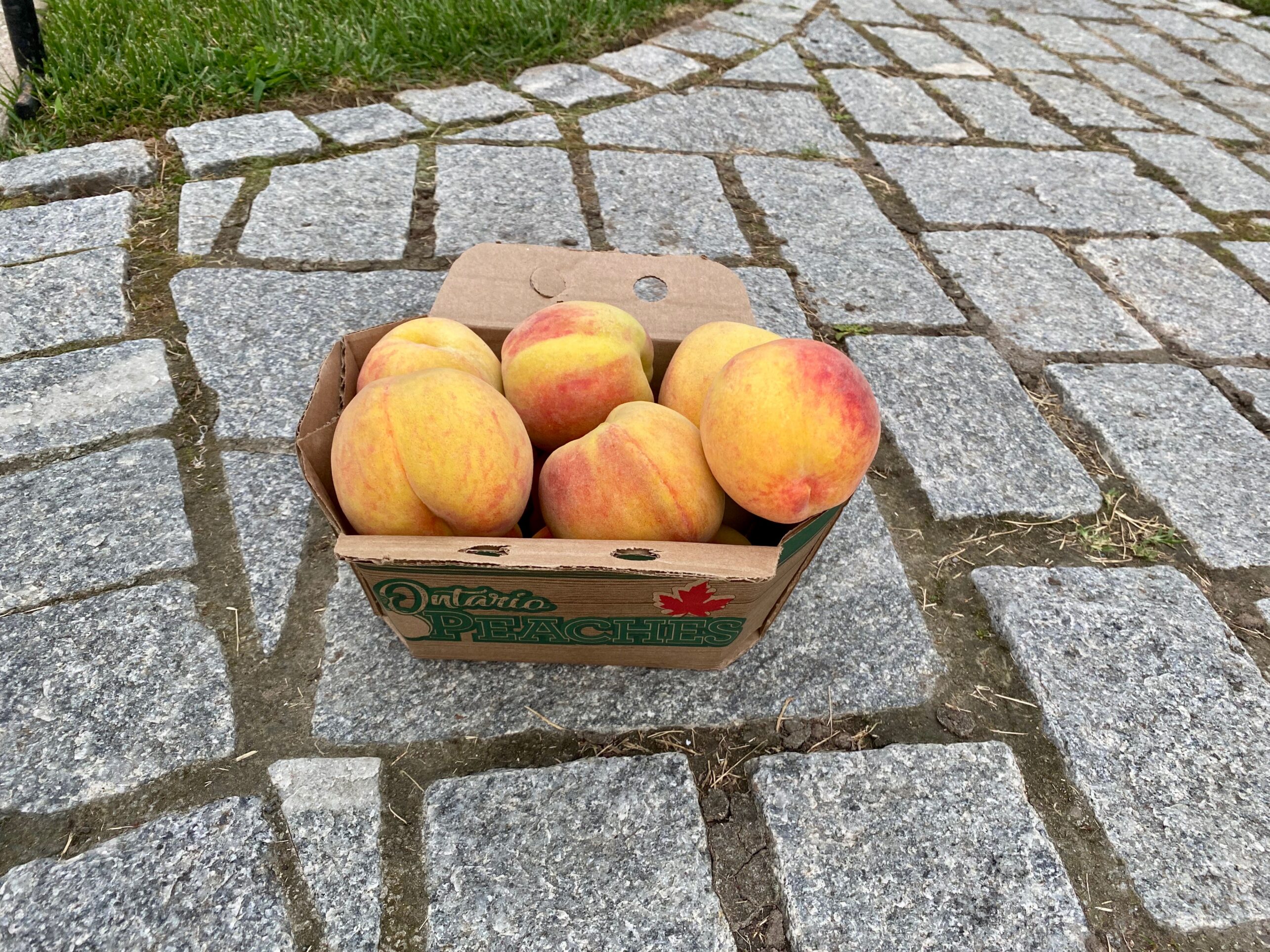 In Search of Niagara-on-the-Lake Peaches